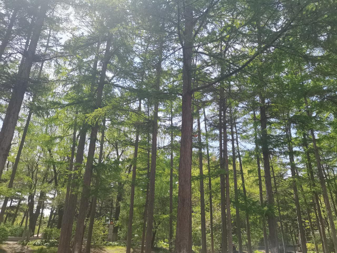 提前从单位出来一会儿，和朋友来了南湖附近。

加上G哥，今晚有个小聚会。

G哥