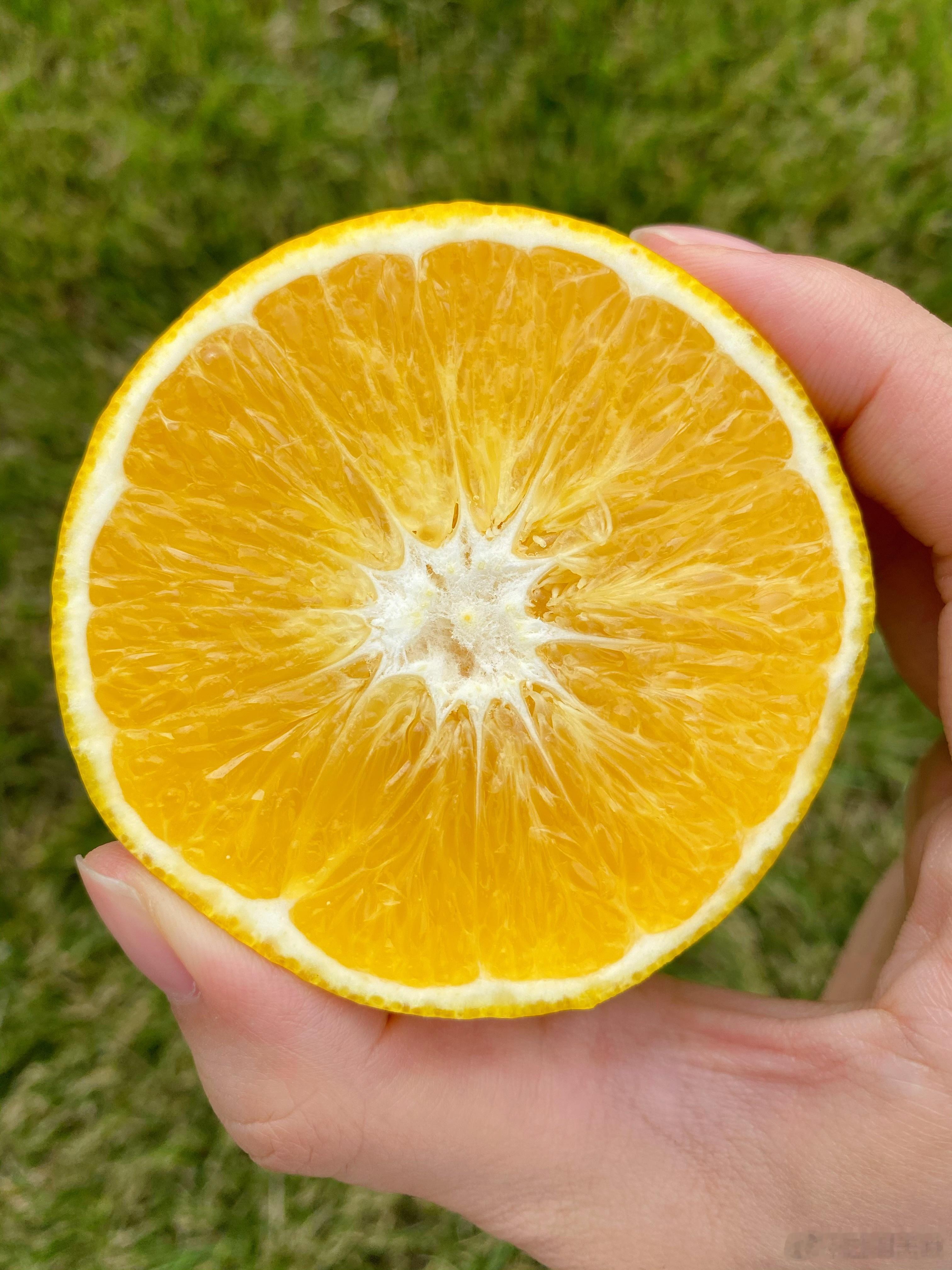 真正的11.11，云南阳光橙秒杀28元5斤花皮果，仅限今天！作为褚橙的平替味道很