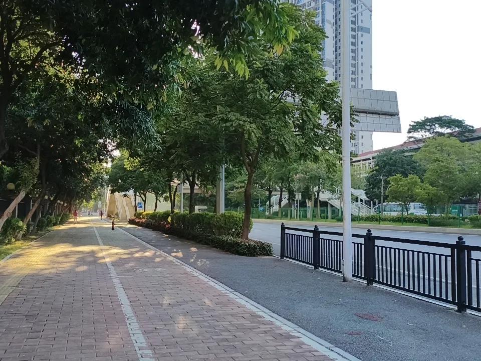 路面干净整洁，出行的人还是很少，买菜的人很多。日复一日，年复一年