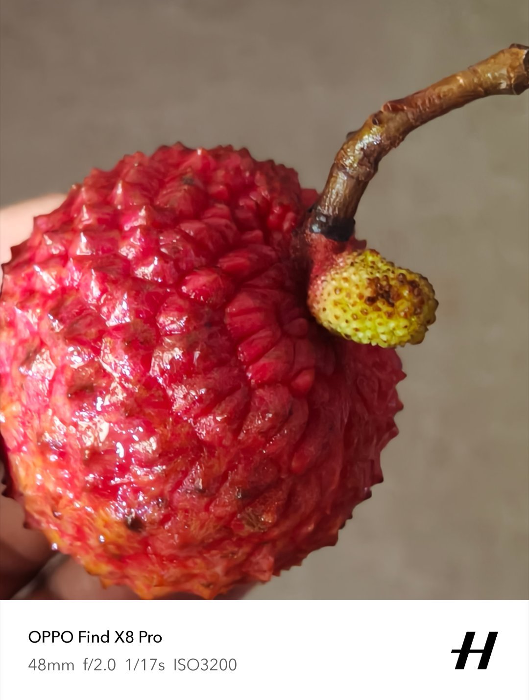这个荔枝死了吗这个荔枝核好小呀！[可爱]荔枝肉肉多了不是一点点！有点东西 ​​​