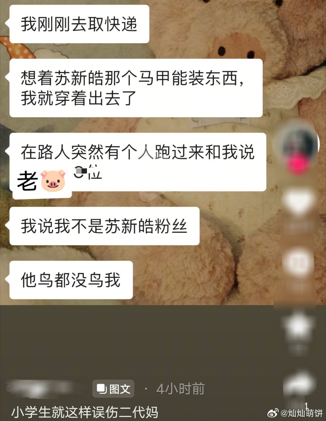 小🐷毛就只有这样的素质了，对着一个穿咱家马甲的路人都能破防 