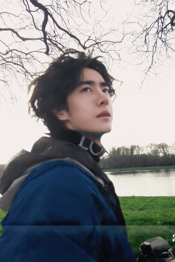 王一博拍的绿头鸭王一博春日湖边等傍晚 王一博 