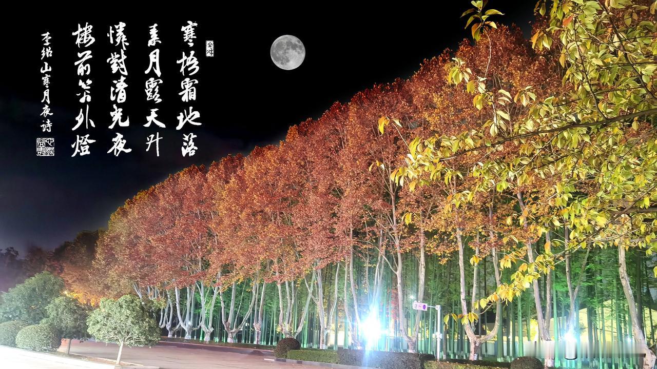 绍山先生诗二首
     寒月夜
寒梧霜地落，素月露天升。
怜对清光夜，楼前篱外