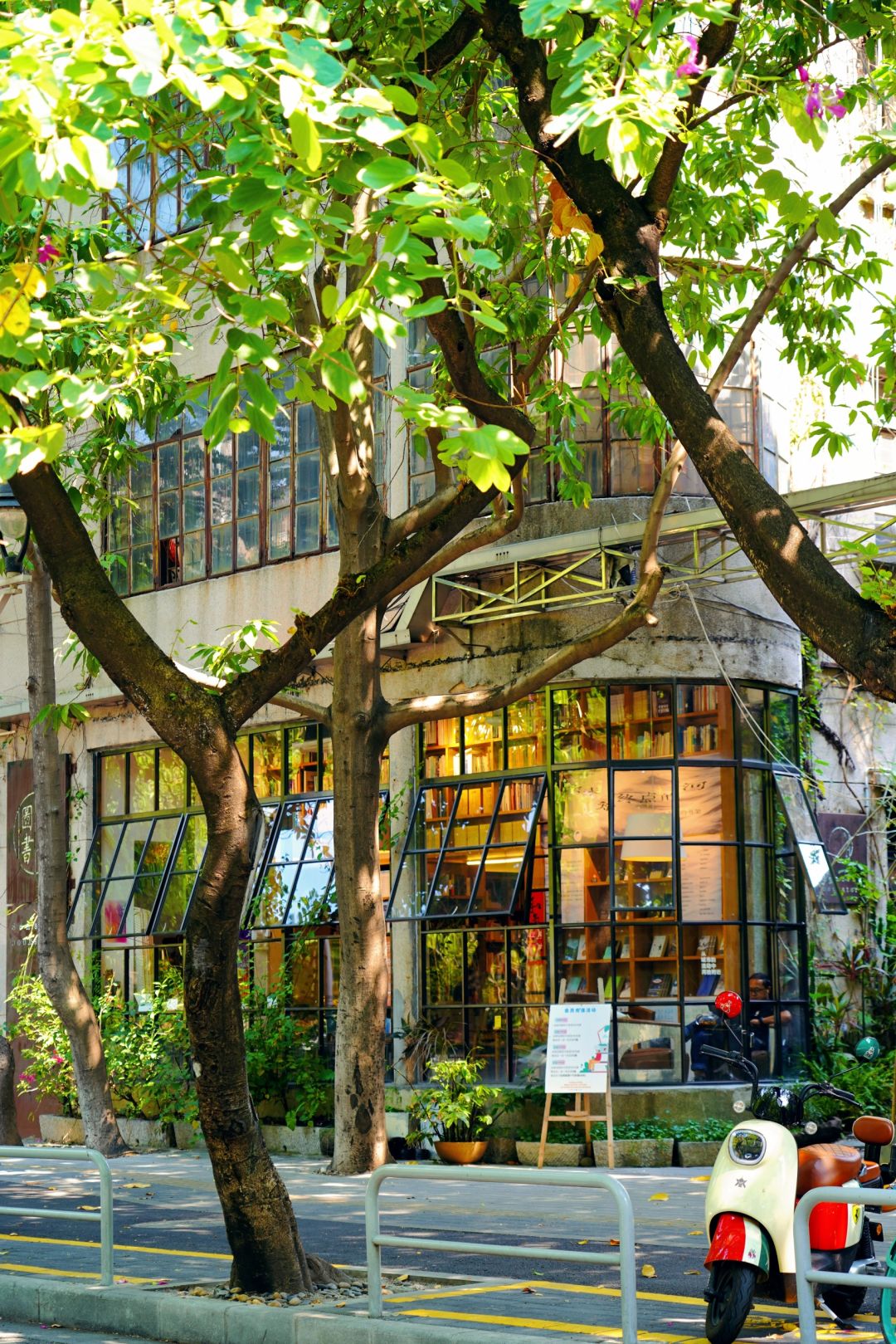 剧透！先行书店🍂十年银杏之约就在11·24