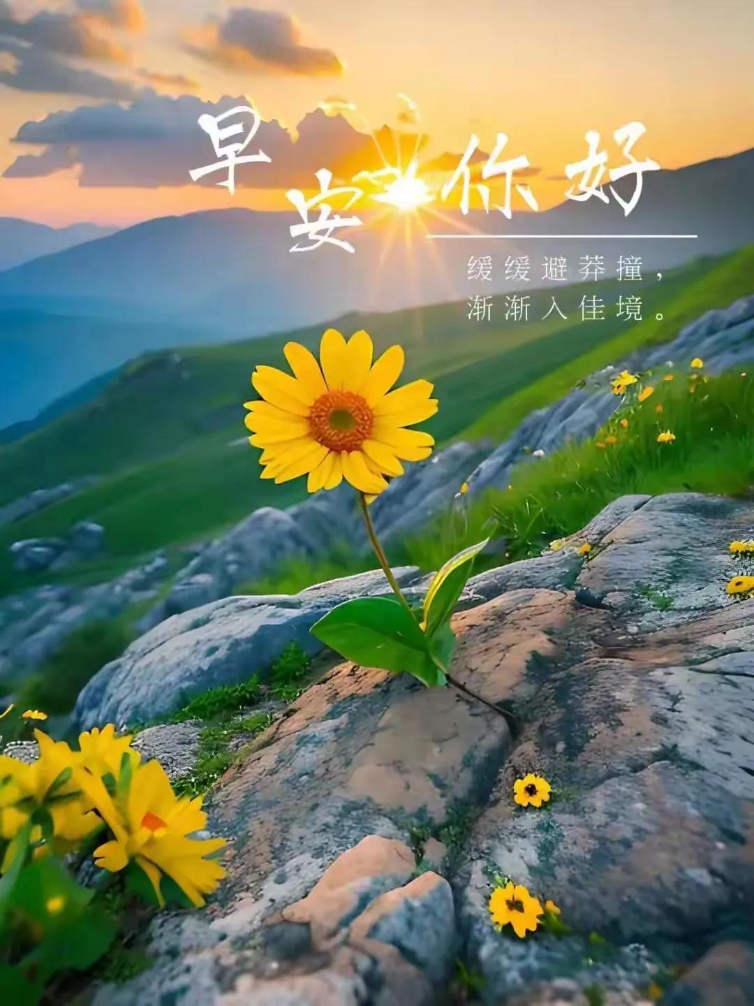凭什么，要读你的诗文呢。。。

嗯。。。凭什么？
就凭你的好奇心么？
不，是凭你