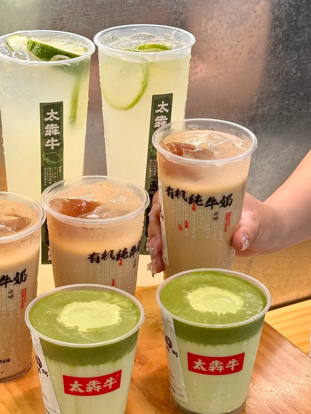 南京的！抹茶脑袋乐开花了🌼