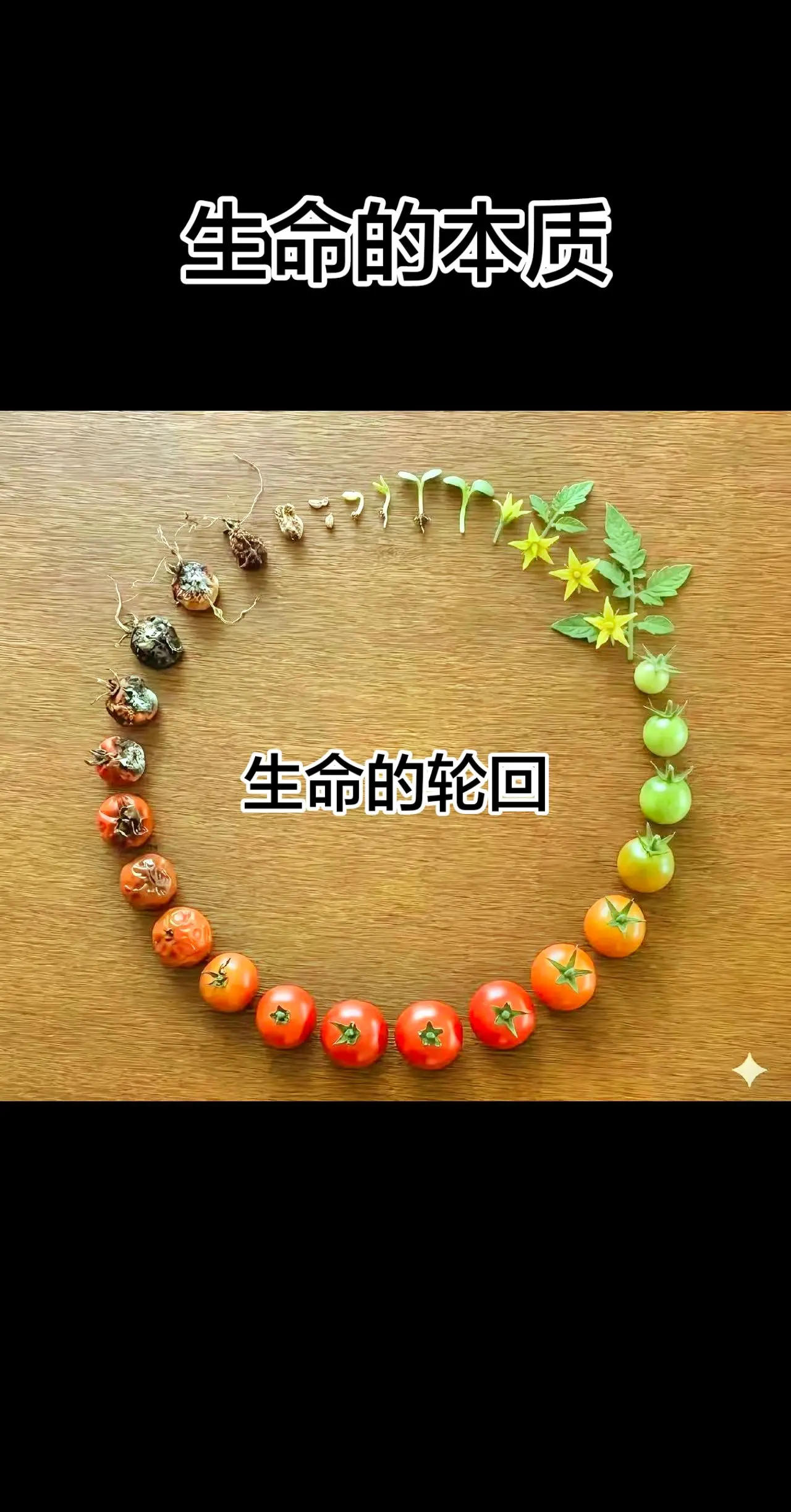 ——儿时接受爱，中年传递爱，老年放下执念。让花成花树成树，所有关系的尽...