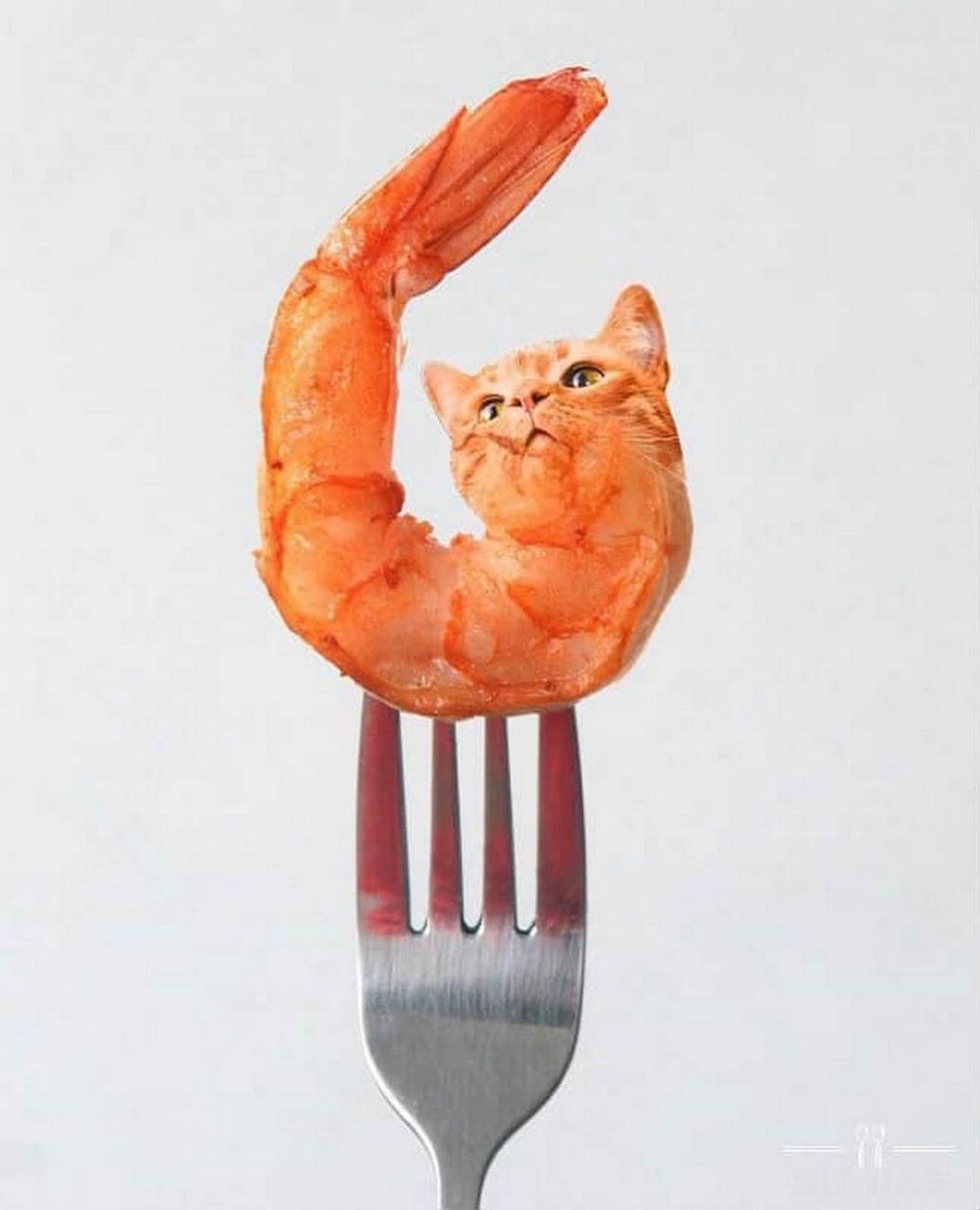 吃点儿 ​​​