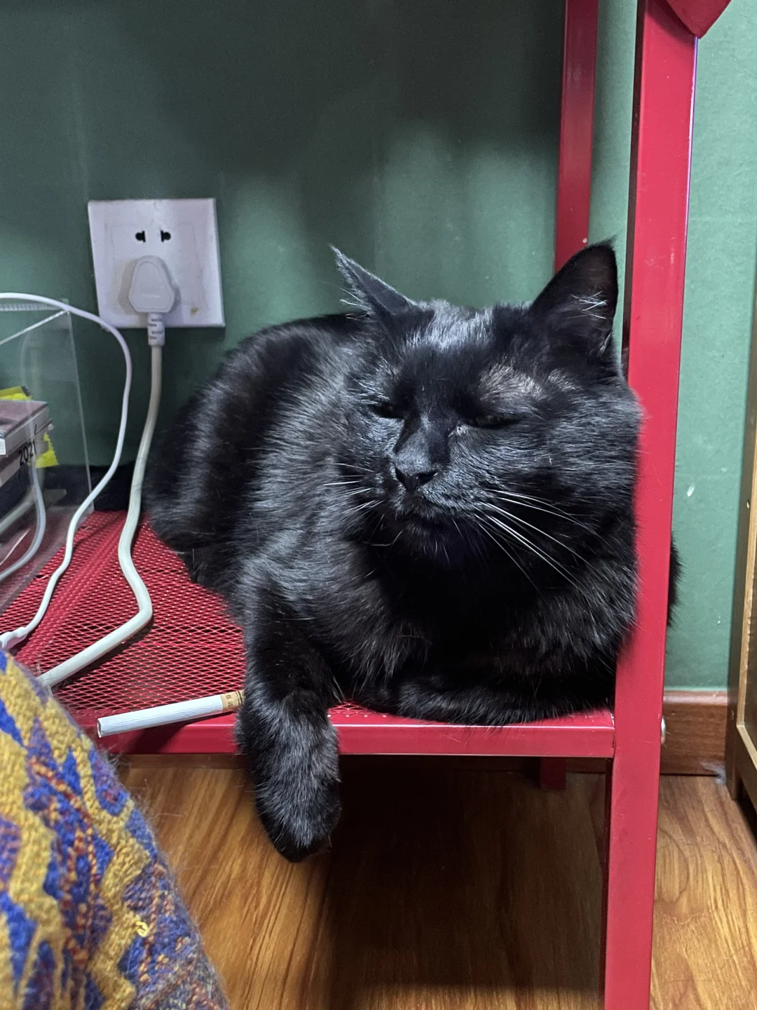 此时，一只黑熊般的小猫点起了烟说起从前