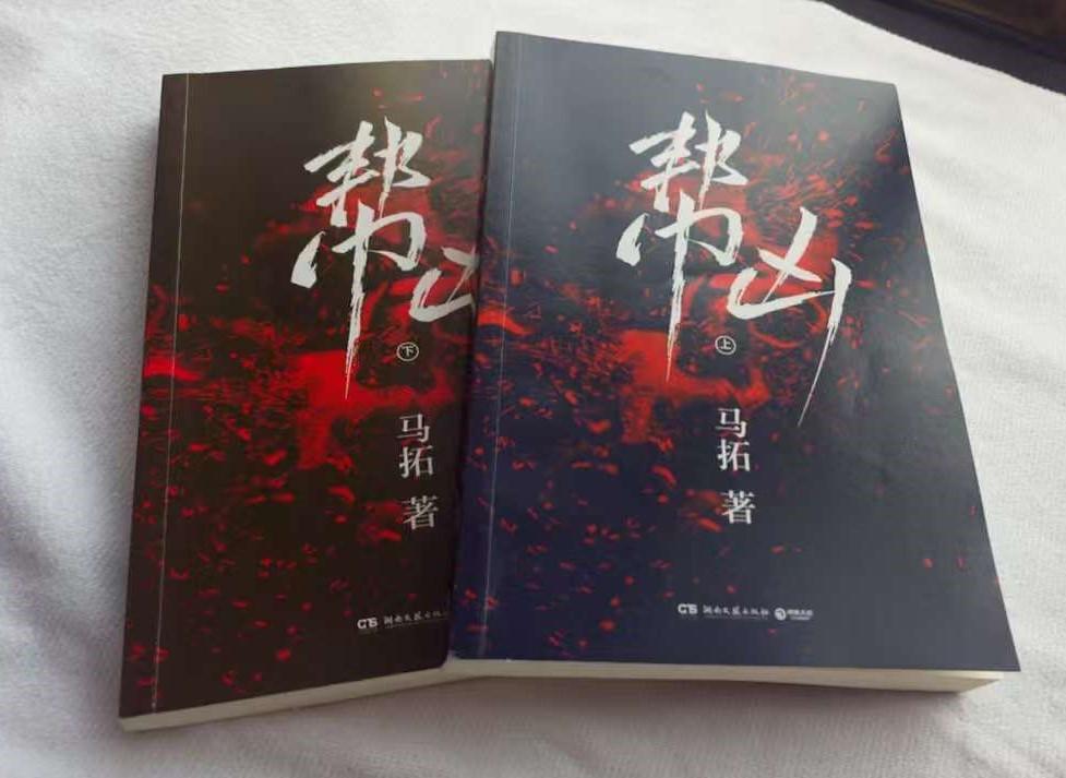 马拓的小说《帮凶》是我用了双休日两天的空闲时间看完的，全书分上下两册，看完上册时