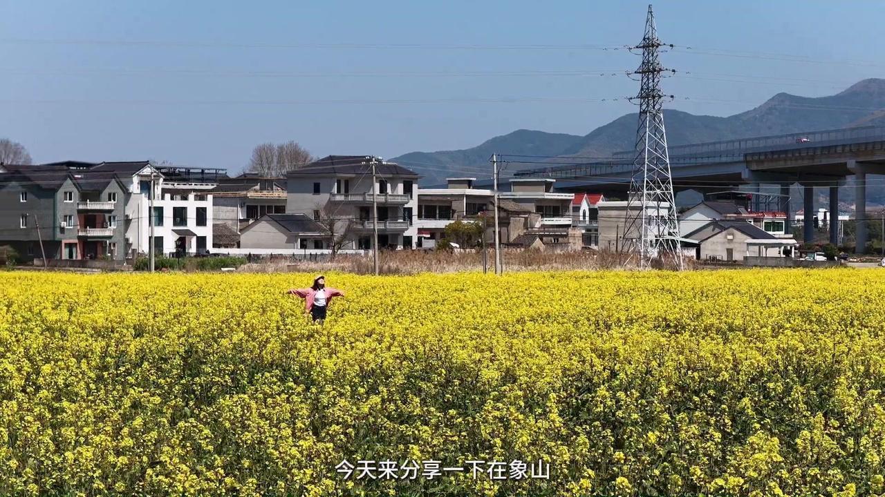 🌿在象山走这条乡村walk路线，油菜花田、古寺玉兰、草莓采摘全安排，关键还免费