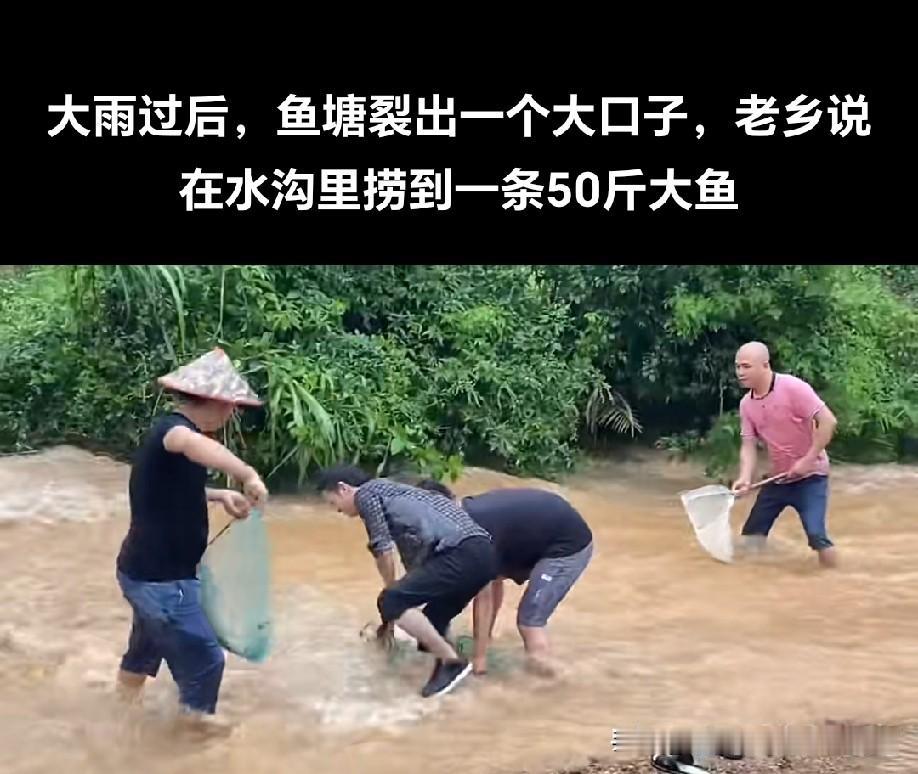 养鱼就怕这个！几年辛苦全打水漂[捂脸]