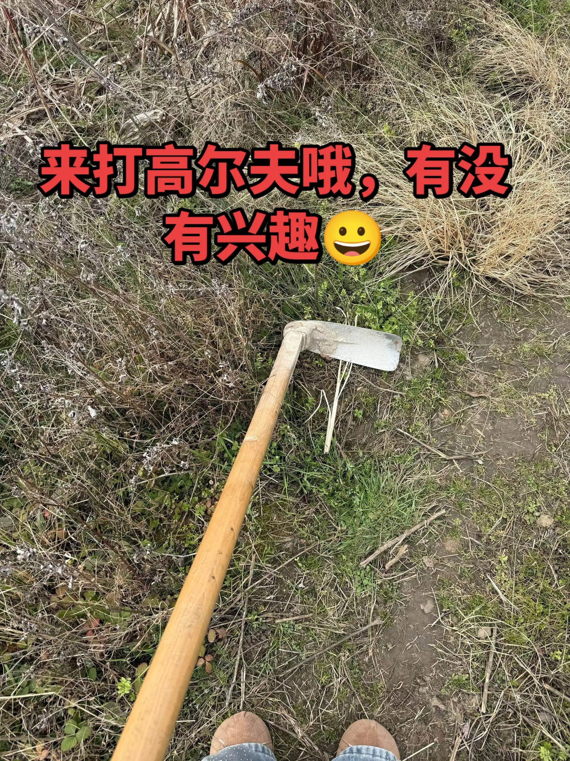 来打高尔夫哦
