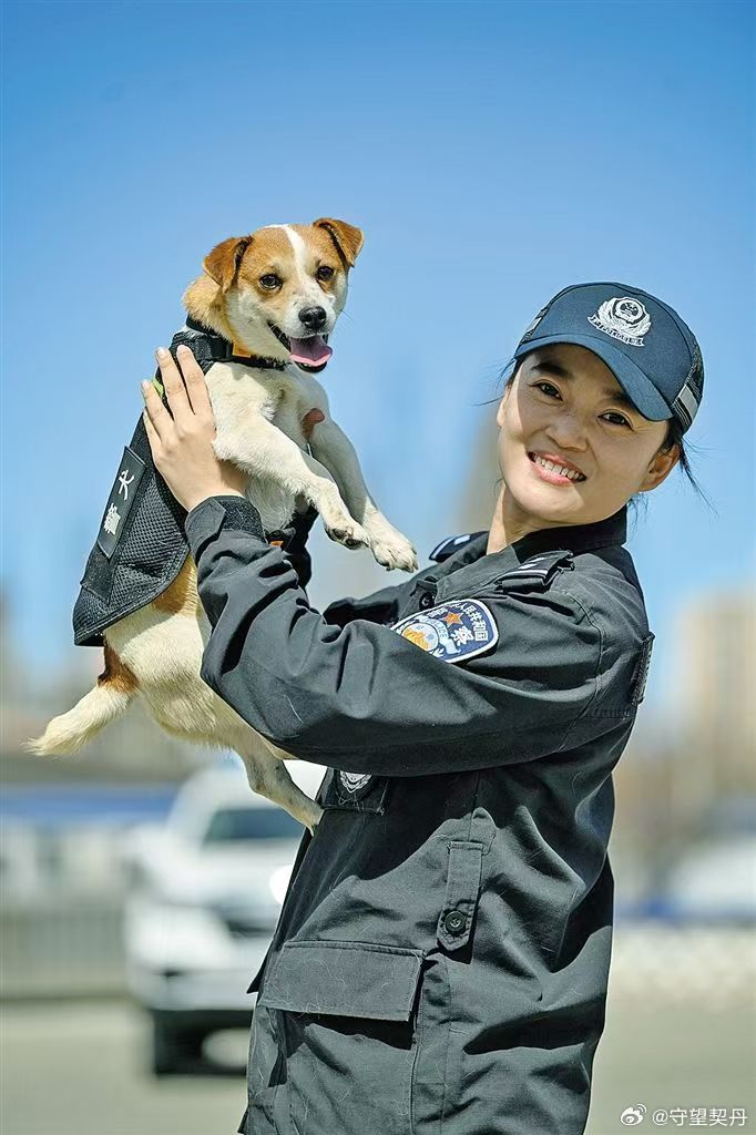 警犬 作为重要的警务力量，在完成各项任务中发挥着重要作用。晨雾未散，呼和浩特市公
