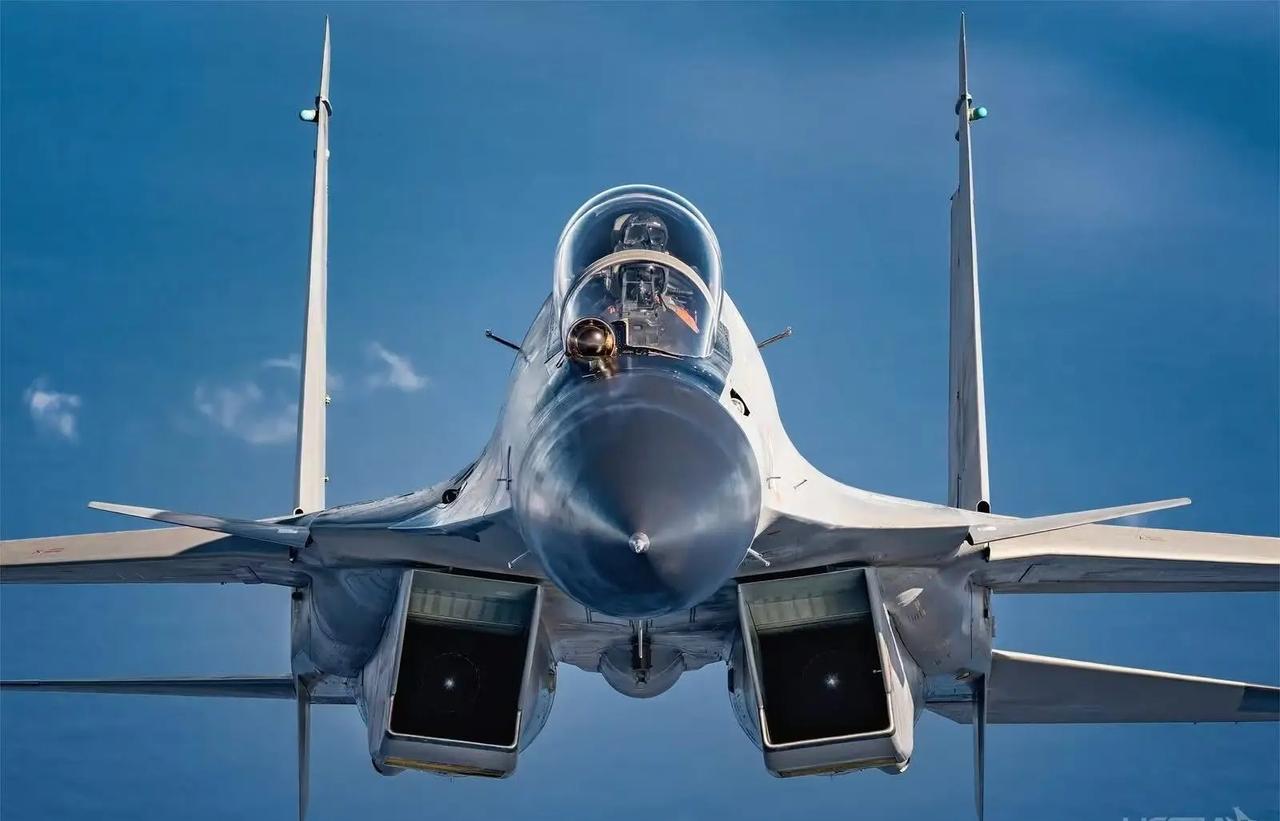 远去的“支点”
分享一张经典的俄罗斯的米格-29“支点”前线战斗机的正面照。