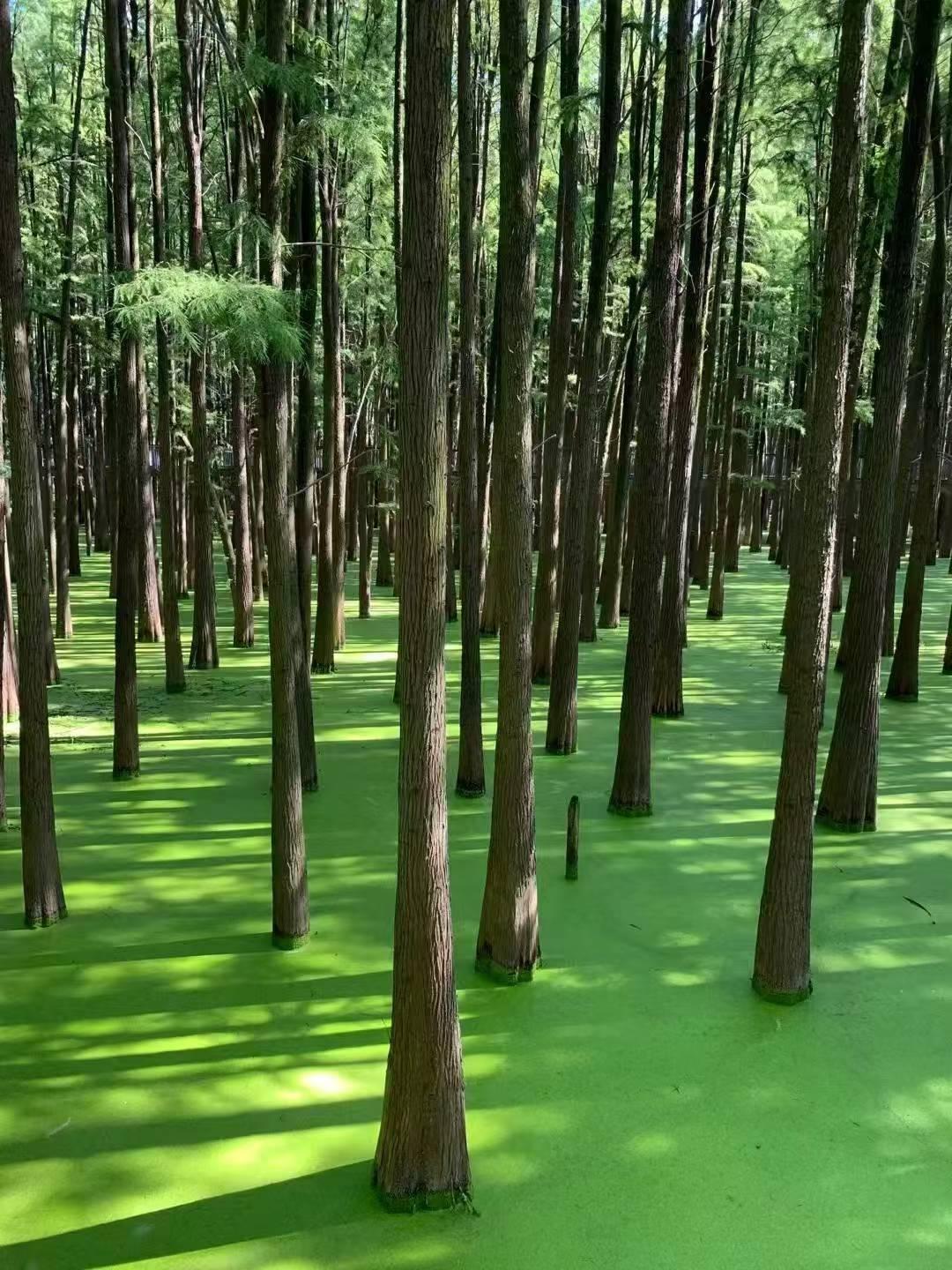 人，要自己心疼自己。每一个人都是。爱自己。