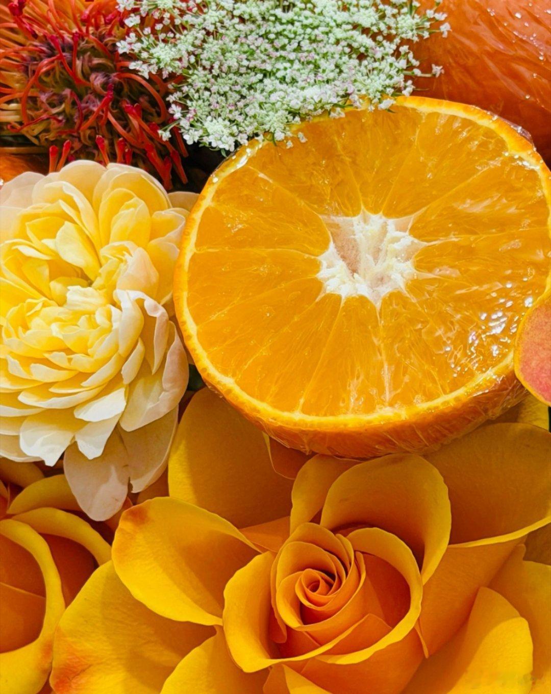 橙心橙意祝你心想事橙前橙似锦好事橙双！ 