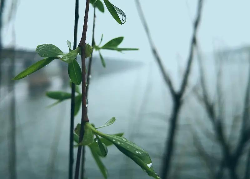 上联：春雨绵绵滋万物；
下联：秋风阵阵助千帆。