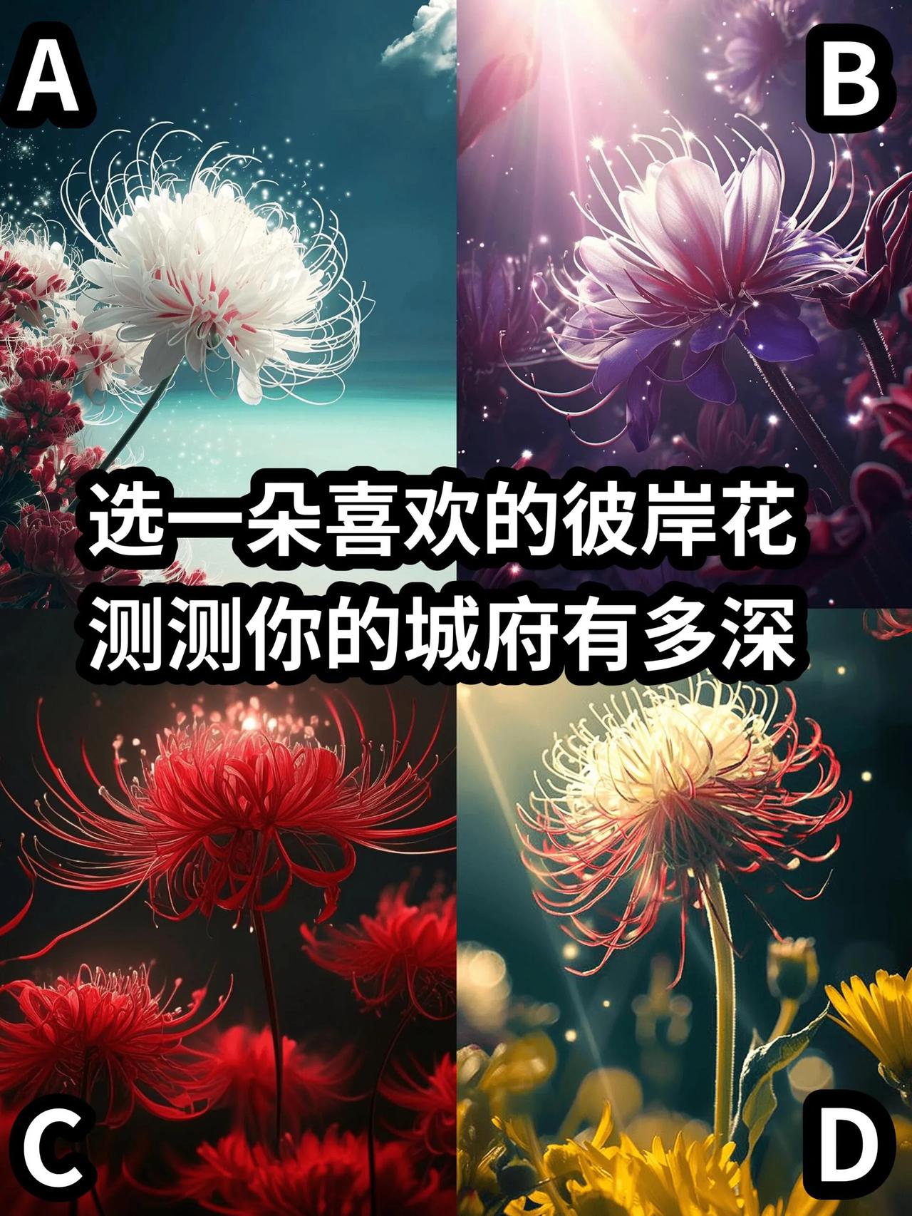 选一朵喜欢的彼岸花🌸
在生活中，我们都扮演着不同的角色，有时候我们会思考自己的