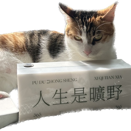 野旷野