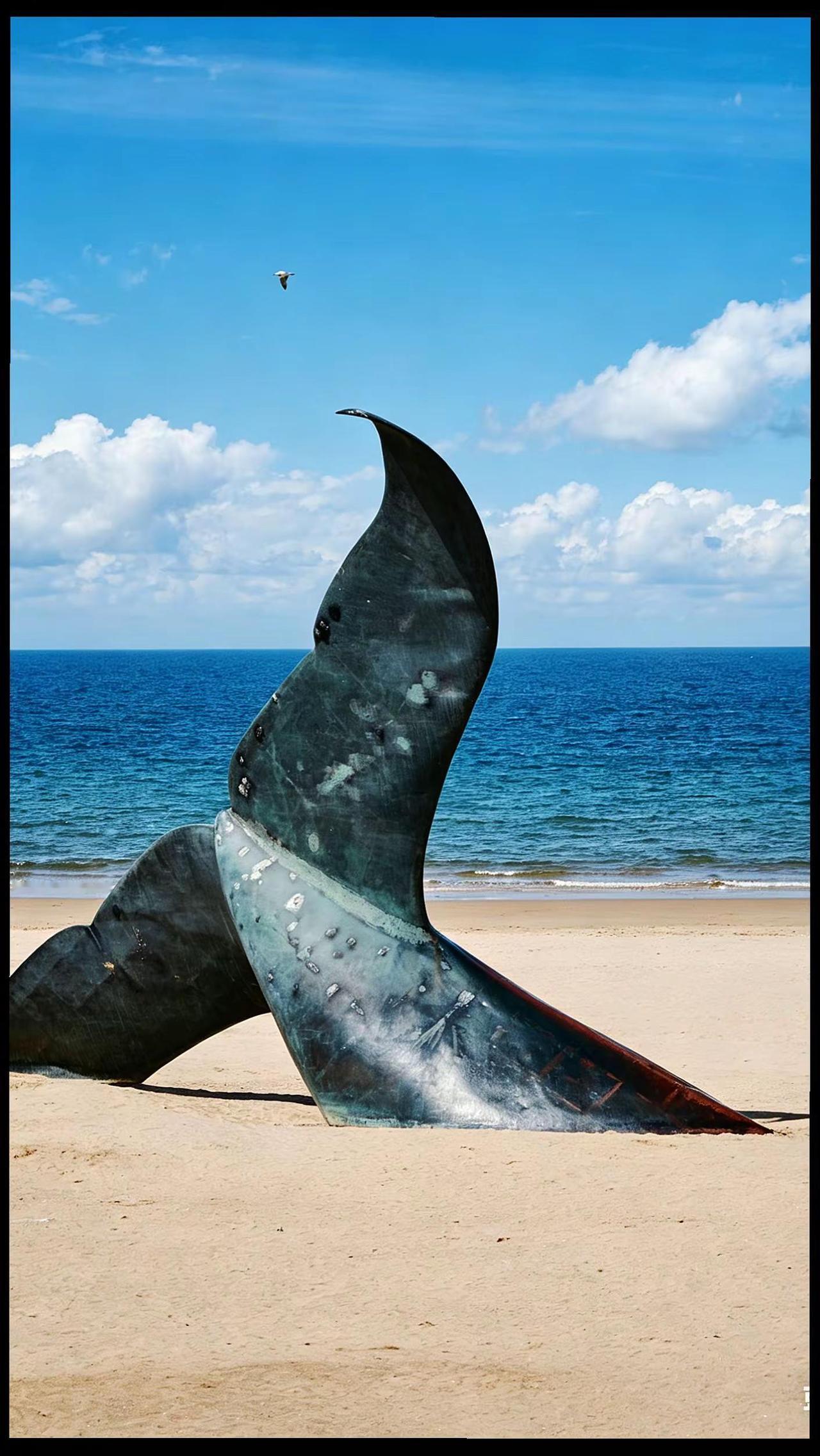 初听不知曲中意，再听已是曲中人！孤独的鲸