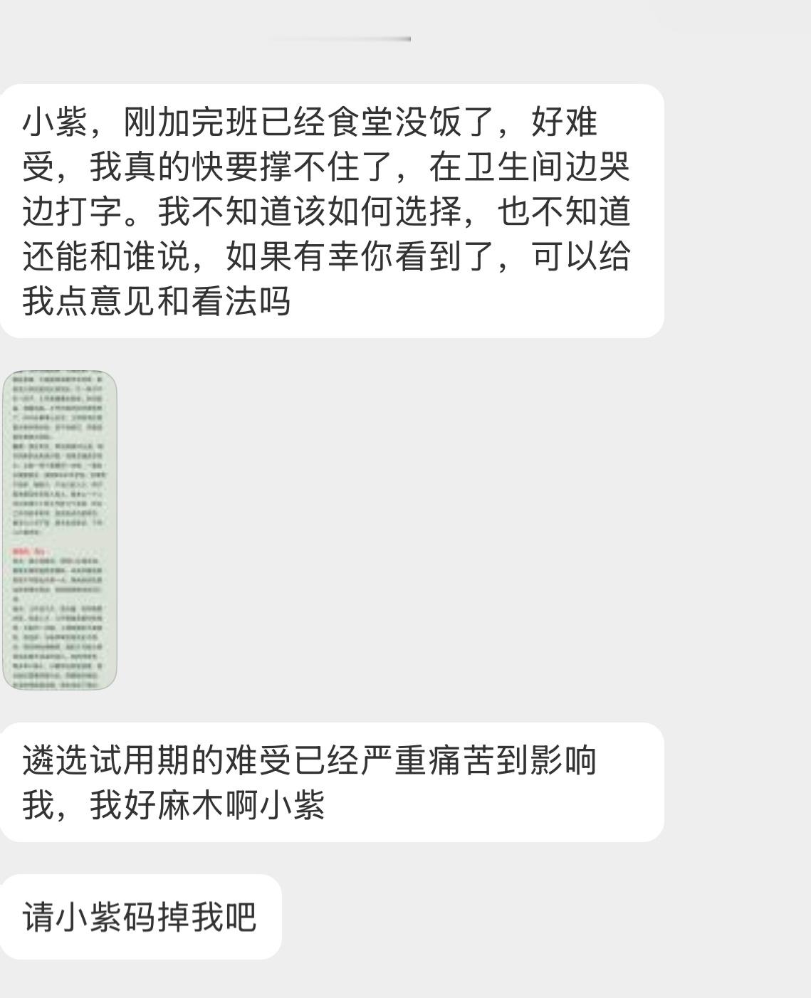 【小紫，刚加完班已经食堂没饭了，好难受，我真的快要撑不住了，在卫生间边哭边打字。