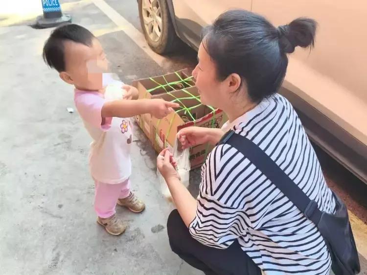 有些孩子的胆大，真的是与生俱来的

我现在隐居的这个荒村，在附近两三里外还有一个