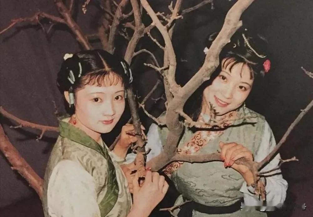 《红楼梦》里的彩云、彩霞，是一个人，还是两个人？
一直存在争议。

说是一个人，