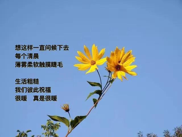 秋初  日出
一条大江晃晃荡荡
瓜果香甜弥漫
．
安静坐在时间一隅
等微风上线

