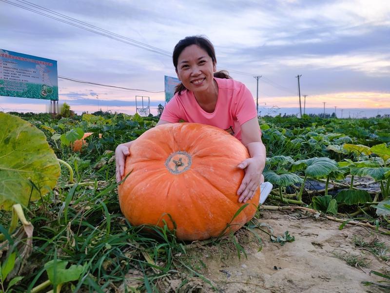冬天的三餐总能带来别样温暖。就说贝贝南瓜，菜市场邂逅它后我就爱上了。它小巧精致，