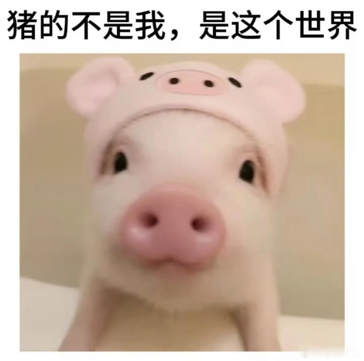 你难道就一点猪都没有吗你猪猪逼人！你难道一点猪都没有吗？我已经知道猪了，可是你不