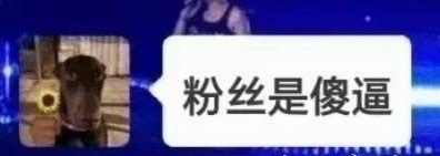 kcs你哭错坟啦