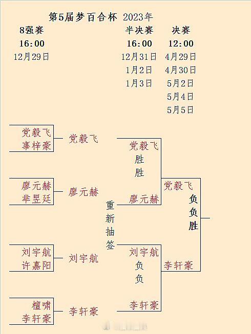 党毅飞（速胜李轩豪）扳回一局，5月4日第5届梦百合杯决赛第4/5局 #围棋# 
