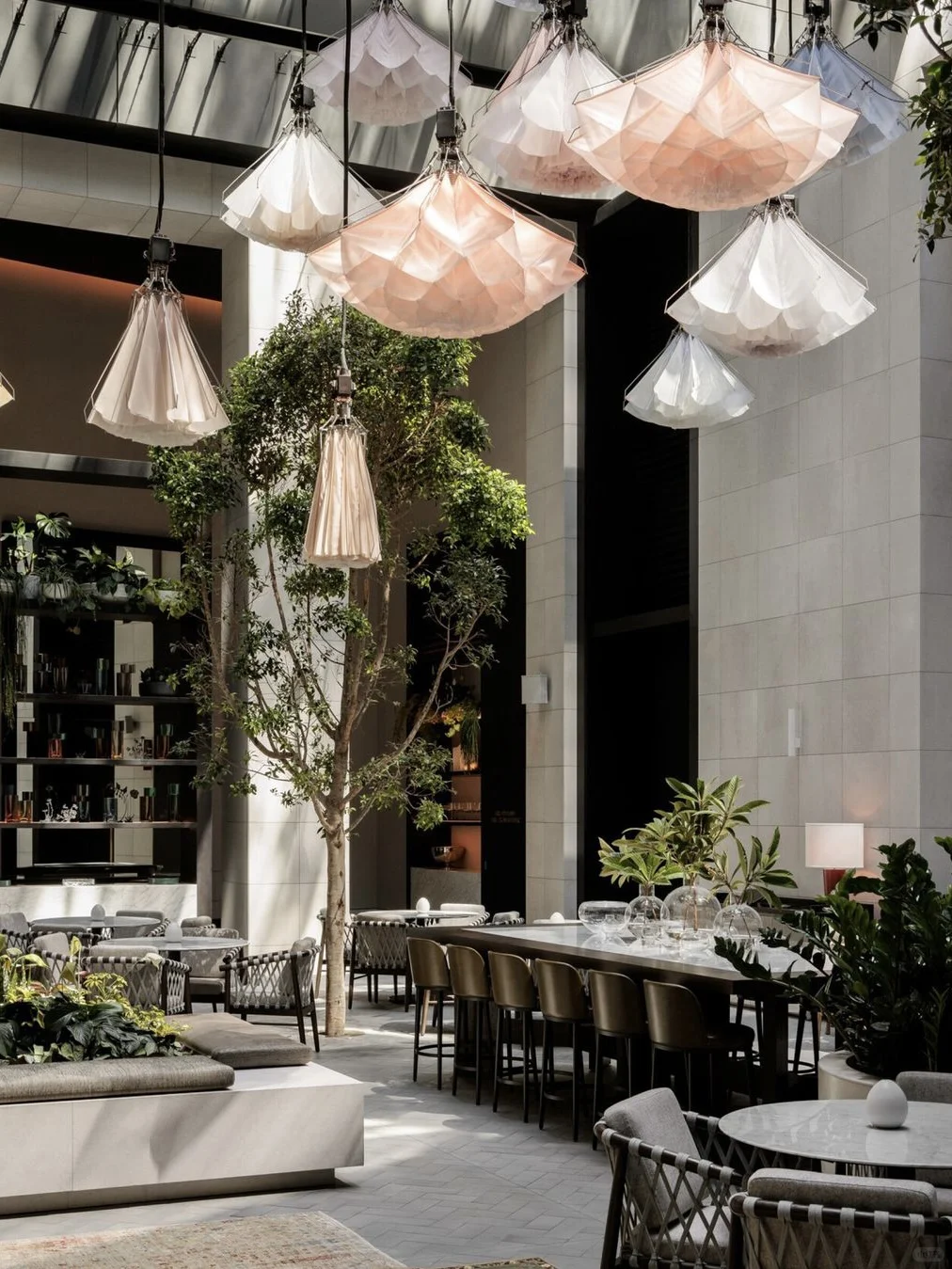 节日「嘉」旅｜浮光掠影，节序启幕