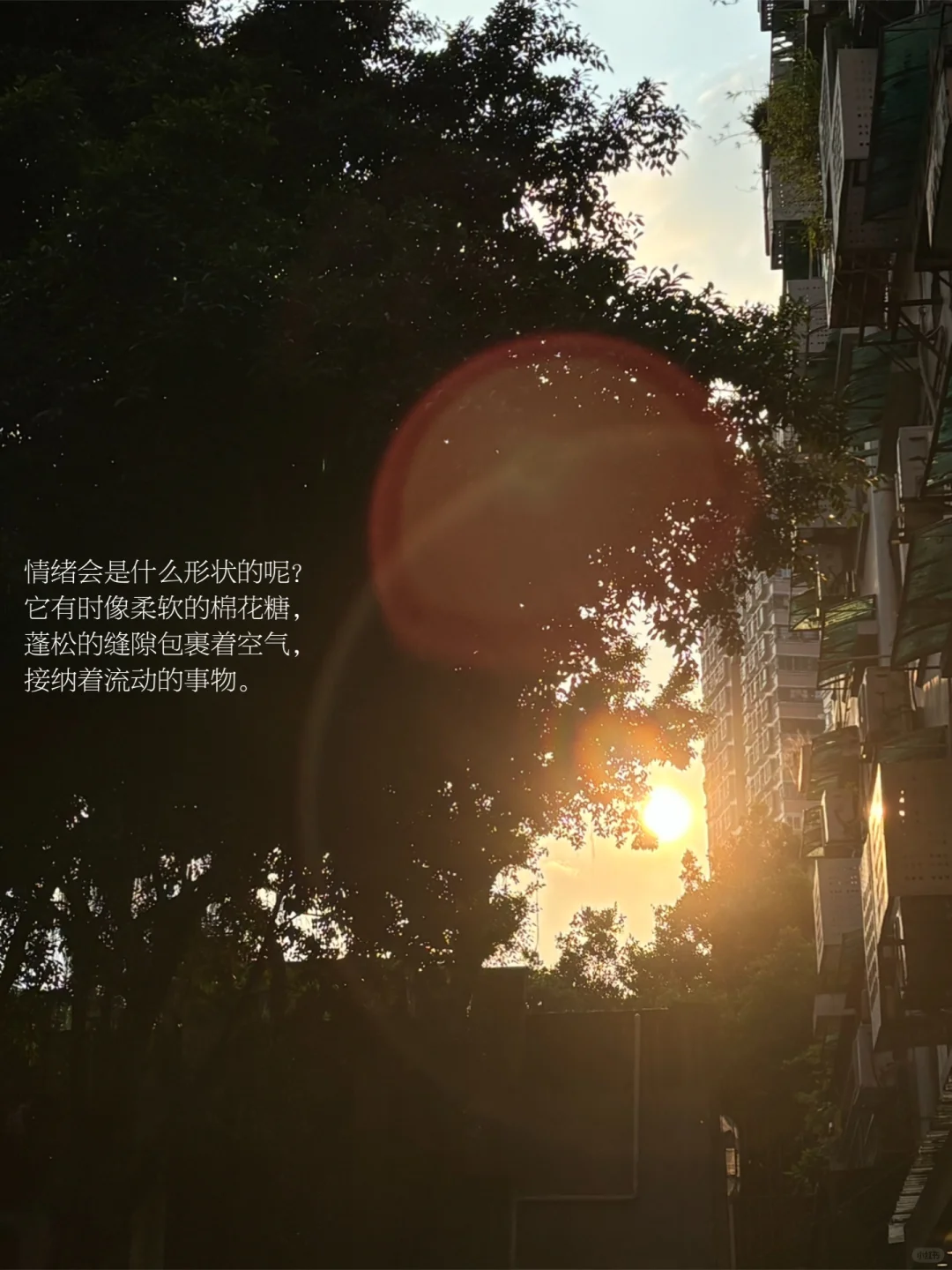 情绪途径我的人生，我将它安放，也被它重塑