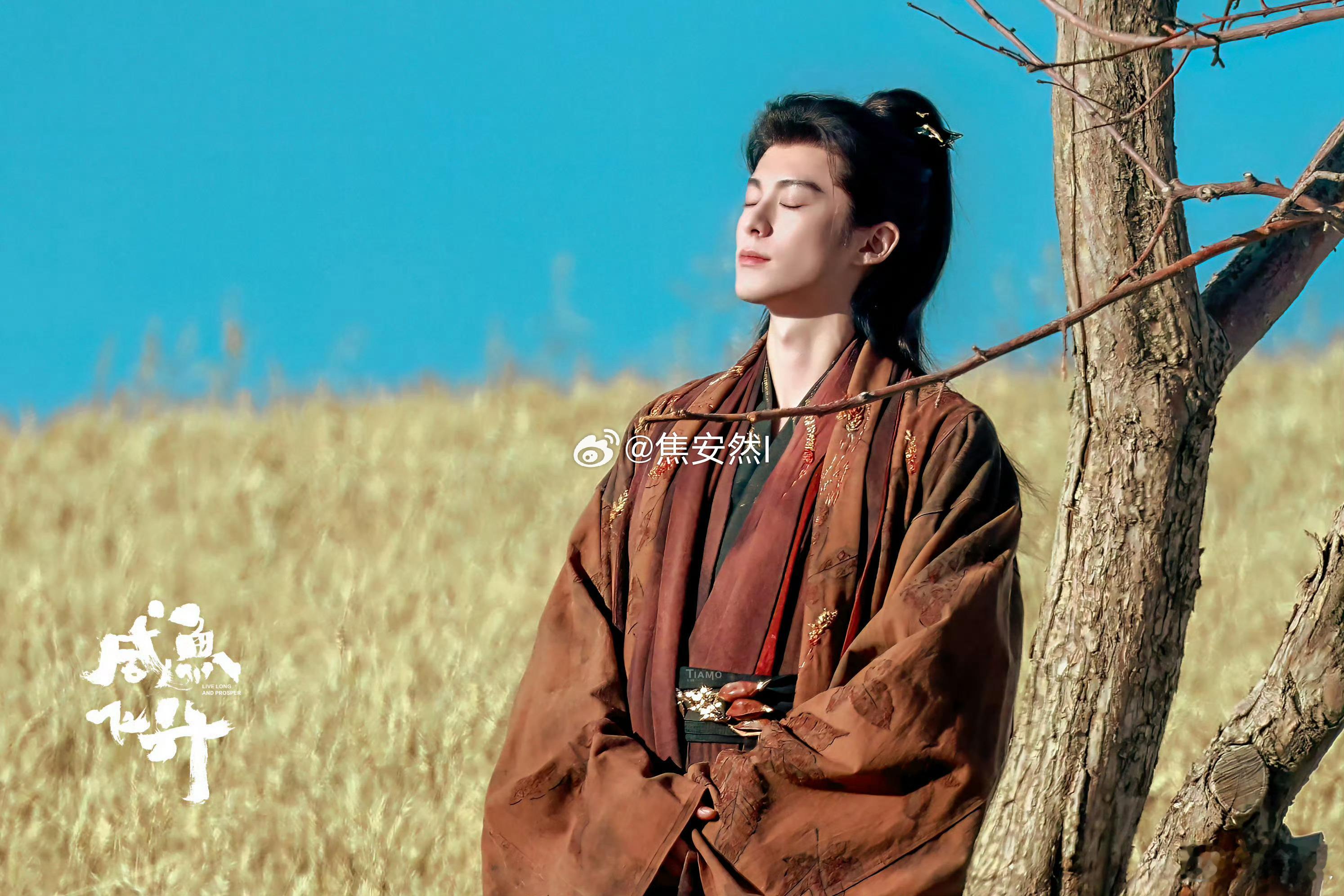 枯树下，站宋潜机才会美。 王鹤棣 都别停我看谁停 ​​​