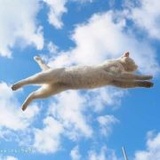 臭娃娃热读科技