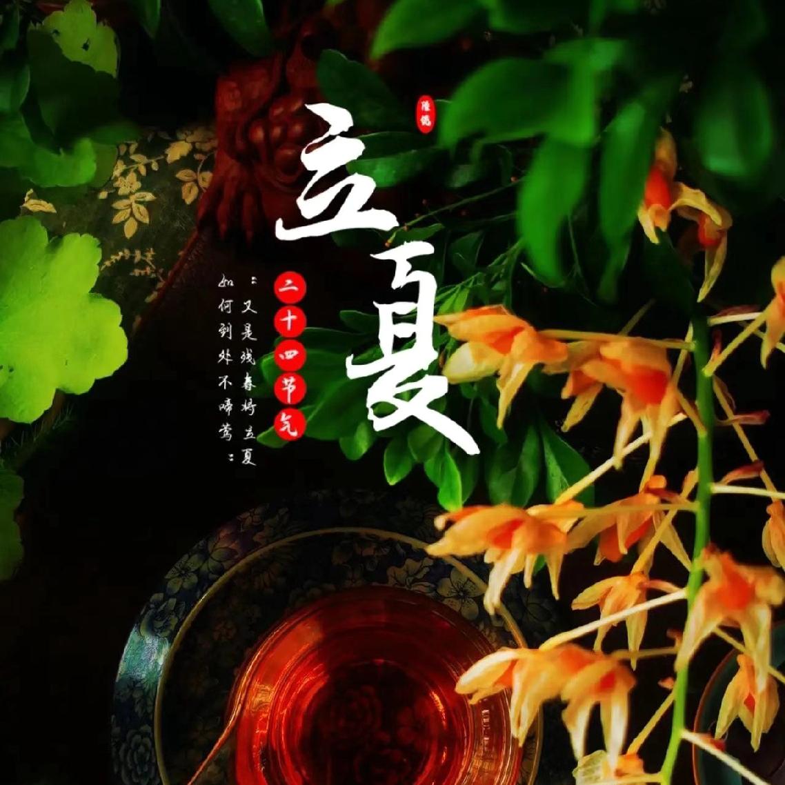 今日立夏，春去夏来，愿你安然度夏。
 
一晃就到立夏了，春风落幕，夏日登场，世间