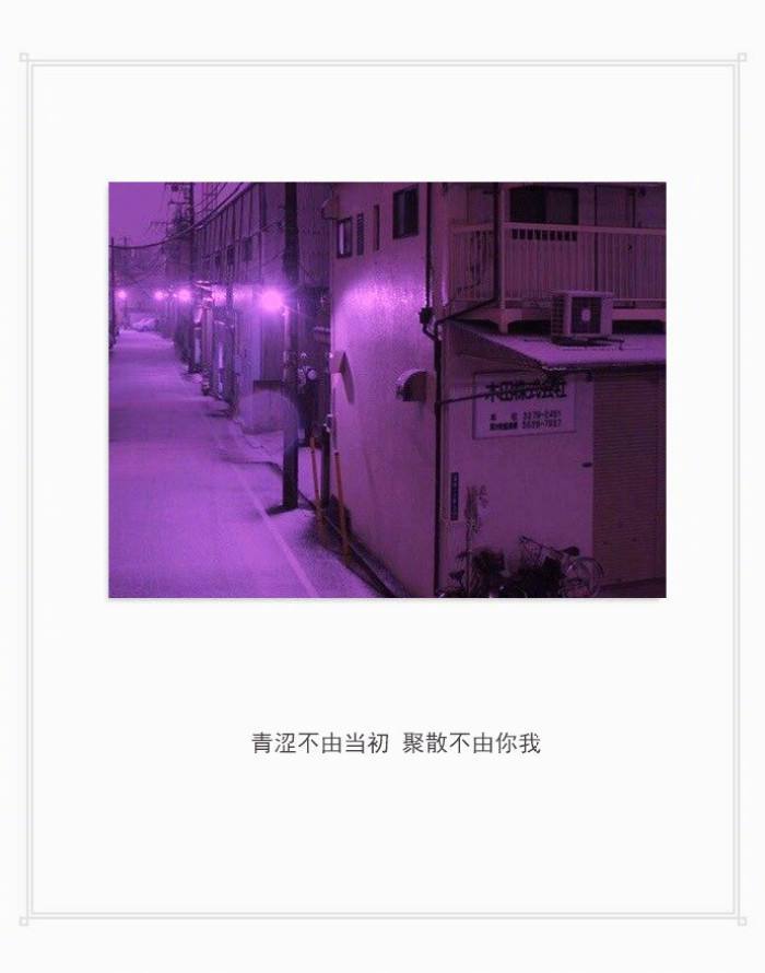 一个定律：越是热情就会越不被珍惜，你越是费尽心思的去取悦一个人，那个人就越有可能