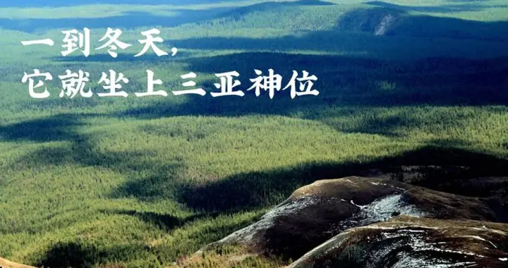 柴达木|这座东北第一神山，刷爆了我的朋友圈