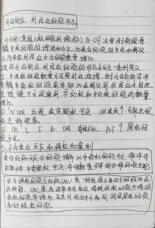 升白针后的外周血细胞形态