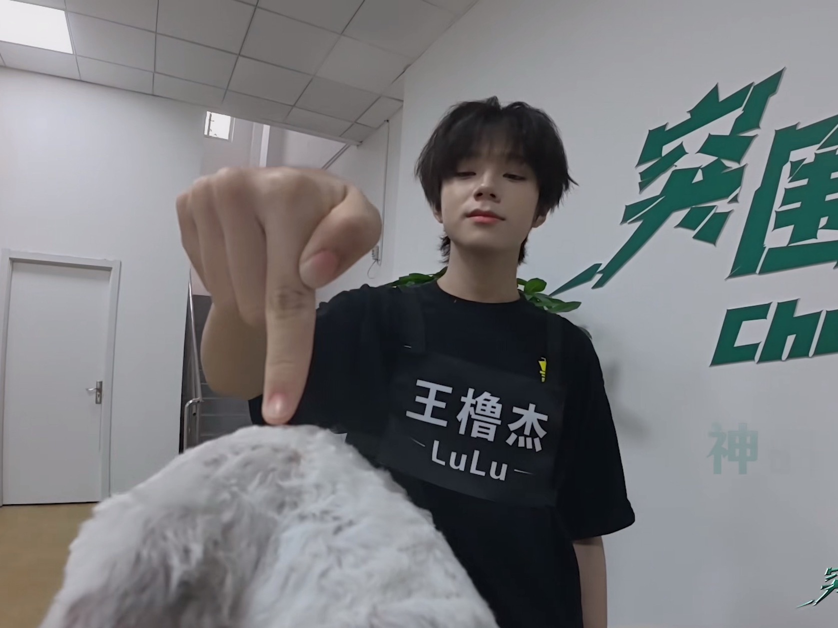 这个极品小v脸，好期待明天