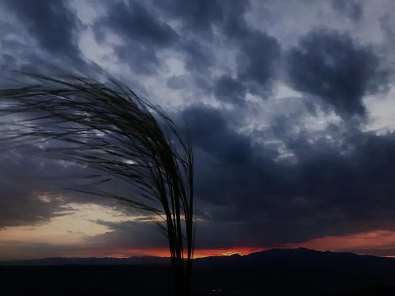 多蓝湖的晚风，简直是精神滋养的宝藏。在巴彦淖尔的临河黄河国家湿地公园，多蓝湖就在