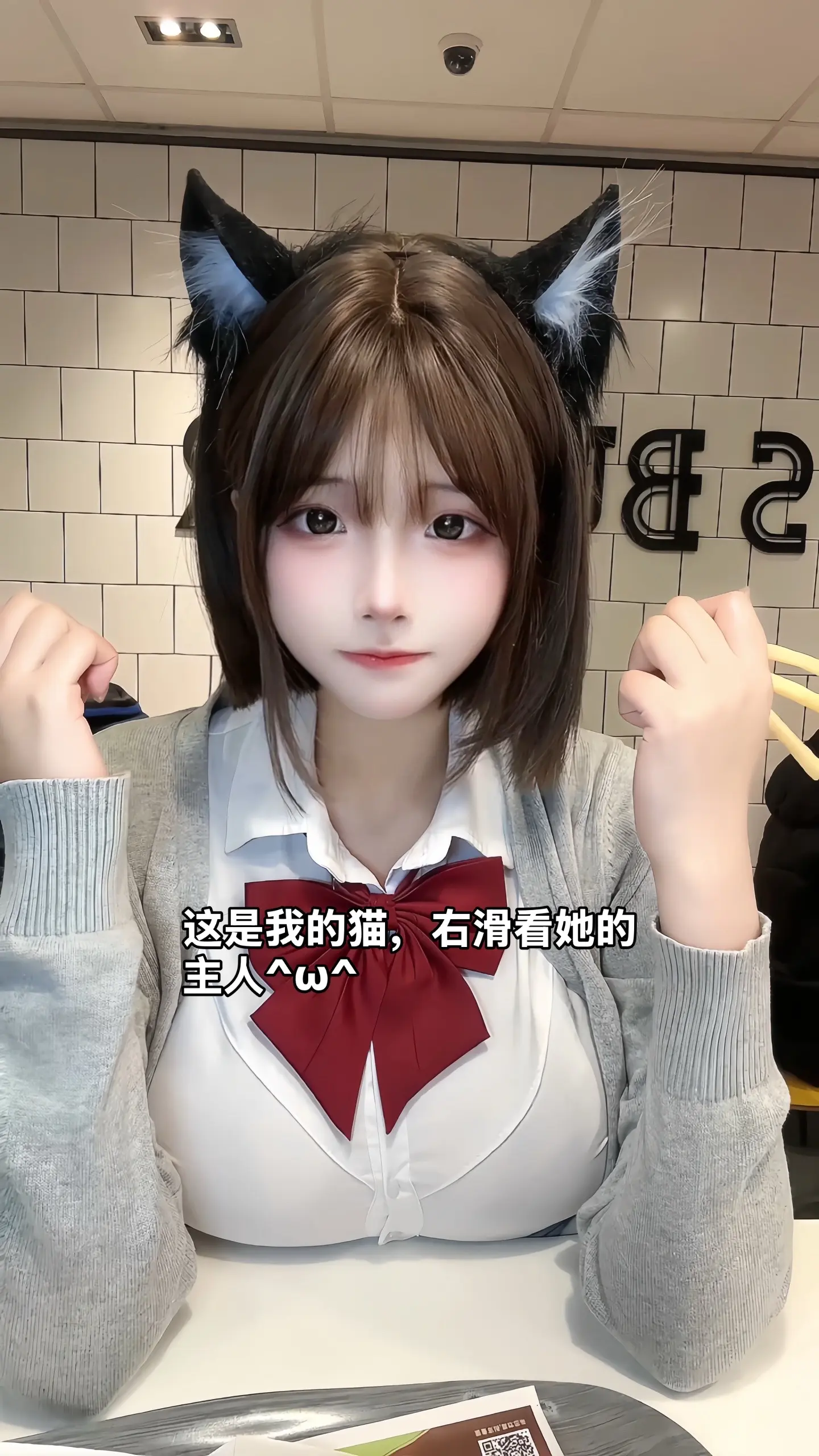 这是我的猫右滑查看她的主人