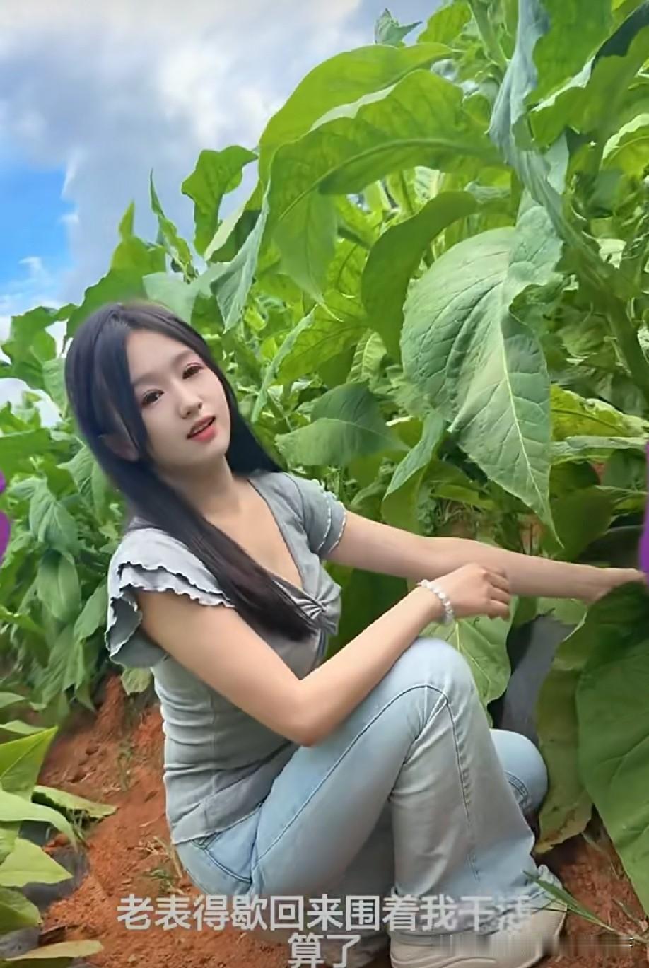 什么菜？这么高大！