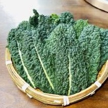 完全皱草级别的，内🐟唯一真菜塑🌿[祈祷]真的牛张凌赫 ​​​