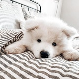 大急脾气爱看社会