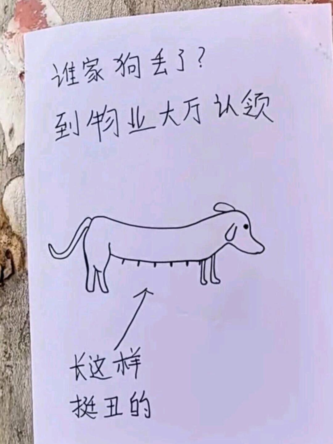 大早上去上班本来挺郁闷的，看到小区门口贴的这条启示给我整笑了！[捂脸][捂脸][