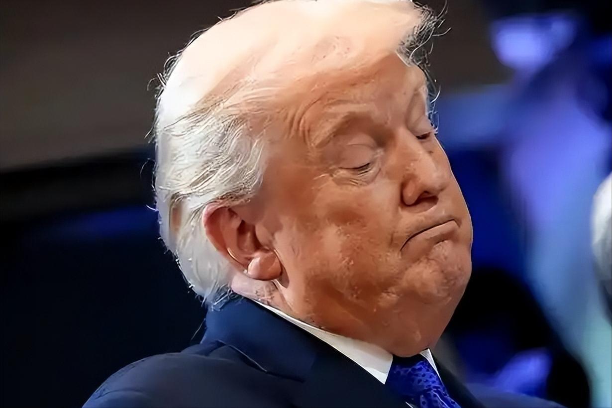 4月14日芬兰总统亚历山大·斯图布突访渥太华，当着加拿大全国观众的面抛出重磅言论