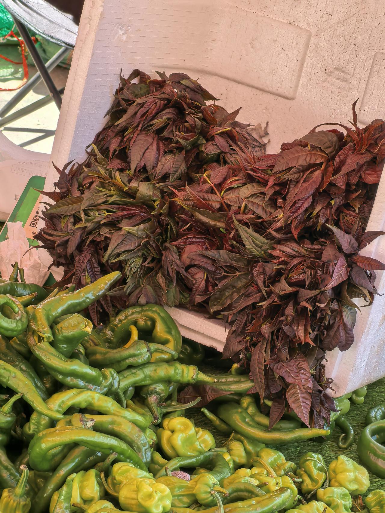 现在的昆明集市都有香椿卖了！